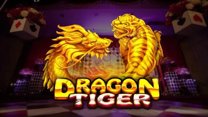 Betting cases in dragon tiger