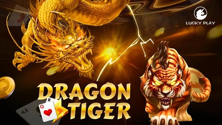 The Most Detailed Rules of Dragon Tiger JILIKO for New Players